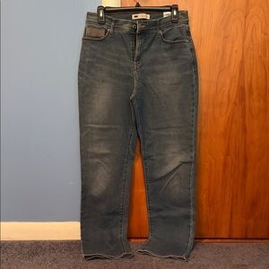 Levi's Blue Straight Leg Jeans Classic Style